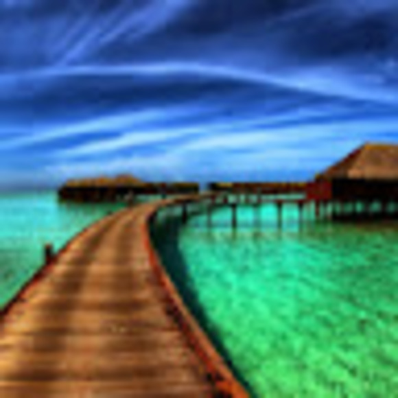 Meet your Posher, Daniel - Picture 1 of 1